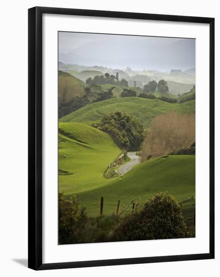 Rangiwahia Road, Winding Through Sheep Pasture in Rural Manawatu, North Island, New Zealand-Smith Don-Framed Photographic Print