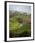 Rangiwahia Road, Winding Through Sheep Pasture in Rural Manawatu, North Island, New Zealand-Smith Don-Framed Photographic Print