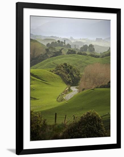 Rangiwahia Road, Winding Through Sheep Pasture in Rural Manawatu, North Island, New Zealand-Smith Don-Framed Photographic Print