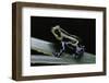 Ranitomeya Lamasi (Pasco Poison Frog)-Paul Starosta-Framed Photographic Print