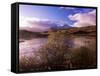 Rannoch Moor, Black Mount, Strathclyde, Scotland, United Kingdom-Kathy Collins-Framed Stretched Canvas