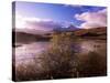 Rannoch Moor, Black Mount, Strathclyde, Scotland, United Kingdom-Kathy Collins-Stretched Canvas