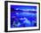 Rannoch Moor in Winter, Highland Region, Scotland, UK, Europe-Simon Harris-Framed Photographic Print