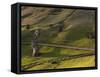 Rano Raraku, Rapa Nui, Easter Island, Chile-Sergio Pitamitz-Framed Stretched Canvas