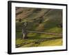 Rano Raraku, Rapa Nui, Easter Island, Chile-Sergio Pitamitz-Framed Photographic Print