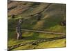 Rano Raraku, Rapa Nui, Easter Island, Chile-Sergio Pitamitz-Mounted Photographic Print