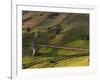 Rano Raraku, Rapa Nui, Easter Island, Chile-Sergio Pitamitz-Framed Photographic Print