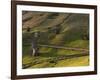 Rano Raraku, Rapa Nui, Easter Island, Chile-Sergio Pitamitz-Framed Photographic Print