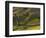 Rano Raraku, Rapa Nui, Easter Island, Chile-Sergio Pitamitz-Framed Photographic Print