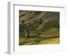 Rano Raraku, Rapa Nui, Easter Island, Chile-Sergio Pitamitz-Framed Photographic Print