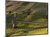 Rano Raraku, Rapa Nui, Easter Island, Chile-Sergio Pitamitz-Mounted Photographic Print