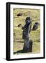 Rano Raraku-Michael Nolan-Framed Photographic Print