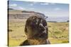 Rano Raraku-Michael Nolan-Stretched Canvas