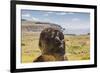 Rano Raraku-Michael Nolan-Framed Photographic Print