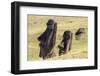 Rano Raraku-Michael Nolan-Framed Photographic Print