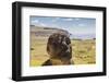 Rano Raraku-Michael Nolan-Framed Photographic Print