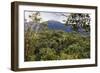 Ranomafana National Park, central area, Madagascar, Africa-Christian Kober-Framed Photographic Print