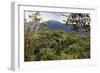 Ranomafana National Park, central area, Madagascar, Africa-Christian Kober-Framed Photographic Print