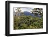 Ranomafana National Park, central area, Madagascar, Africa-Christian Kober-Framed Photographic Print