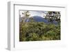 Ranomafana National Park, central area, Madagascar, Africa-Christian Kober-Framed Photographic Print