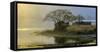 Ranthambore India-Art Wolfe-Framed Stretched Canvas