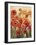 Ranunculi Field II-Silvia Vassileva-Framed Premium Giclee Print