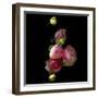 Ranunculus 11-Magda Indigo-Framed Photographic Print