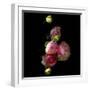 Ranunculus 11-Magda Indigo-Framed Photographic Print