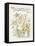 Ranunculus Bulbosus-Walter Crane-Framed Stretched Canvas