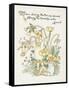 Ranunculus Bulbosus-Walter Crane-Framed Stretched Canvas