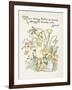 Ranunculus Bulbosus-Walter Crane-Framed Art Print