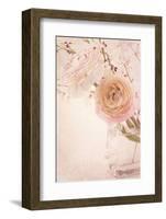 Ranunculus Flowers in a Vase-egal-Framed Photographic Print