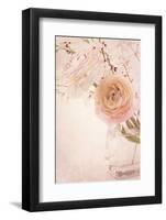 Ranunculus Flowers in a Vase-egal-Framed Photographic Print