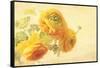 Ranunculus Flowers on Yellow Background-egal-Framed Stretched Canvas