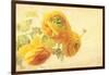 Ranunculus Flowers on Yellow Background-egal-Framed Art Print