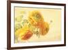 Ranunculus Flowers on Yellow Background-egal-Framed Art Print