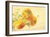 Ranunculus Flowers on Yellow Background-egal-Framed Art Print