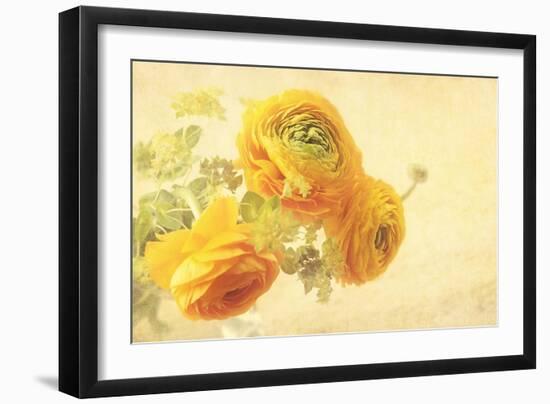 Ranunculus Flowers on Yellow Background-egal-Framed Art Print