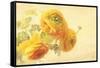 Ranunculus Flowers on Yellow Background-egal-Framed Stretched Canvas
