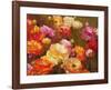 Ranunculus Garden-Emma Styles-Framed Art Print