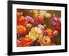 Ranunculus Garden-Emma Styles-Framed Art Print