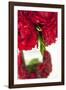 Ranunculus I-Karyn Millet-Framed Photographic Print