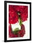 Ranunculus I-Karyn Millet-Framed Photographic Print