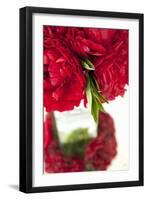 Ranunculus I-Karyn Millet-Framed Photographic Print