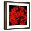 Ranunculus III-Christine Zalewski-Framed Art Print