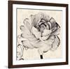 Ranunculus IV-Christine Zalewski-Framed Art Print