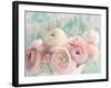 Ranunculus Party-Sarah Gardner-Framed Art Print