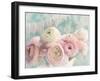 Ranunculus Party-Sarah Gardner-Framed Art Print