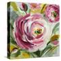 Ranunculus Rosa I-Lanie Loreth-Stretched Canvas