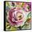 Ranunculus Rosa I-Lanie Loreth-Framed Stretched Canvas